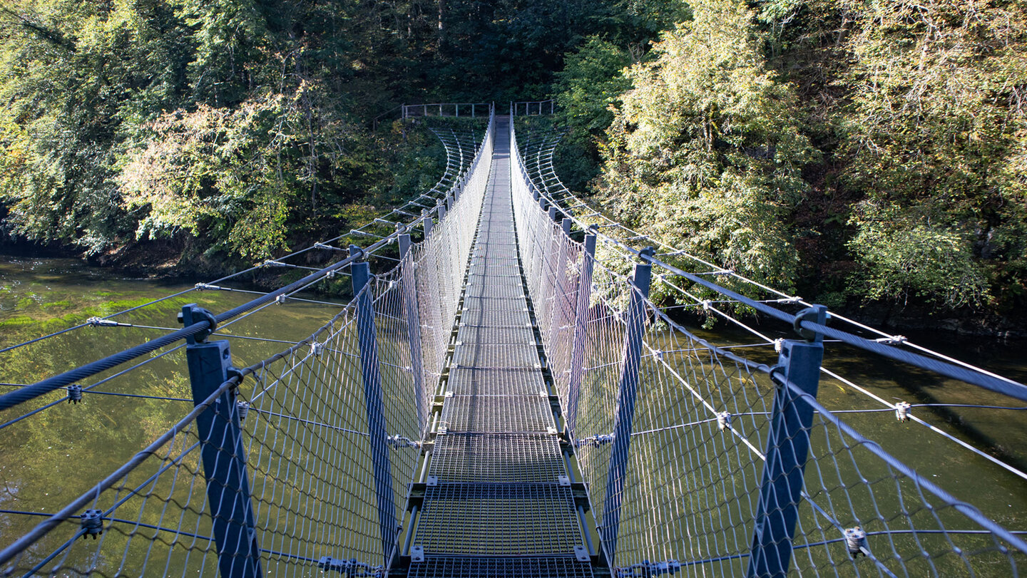 Hängebrücke im Fürstlichen Parks Inzigkofen
