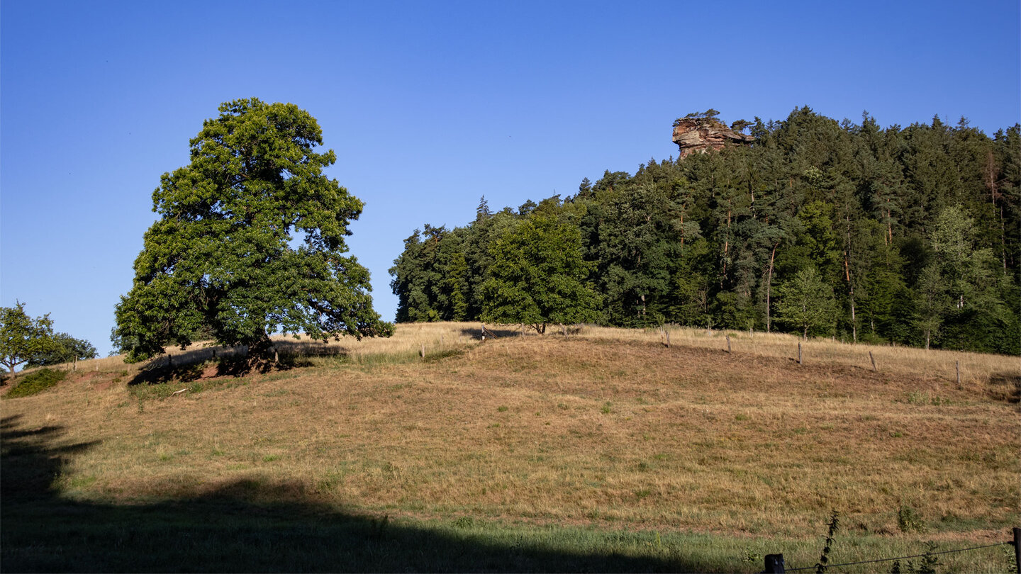 Blick zum Klosterfels im Bärenbrunnertal.
