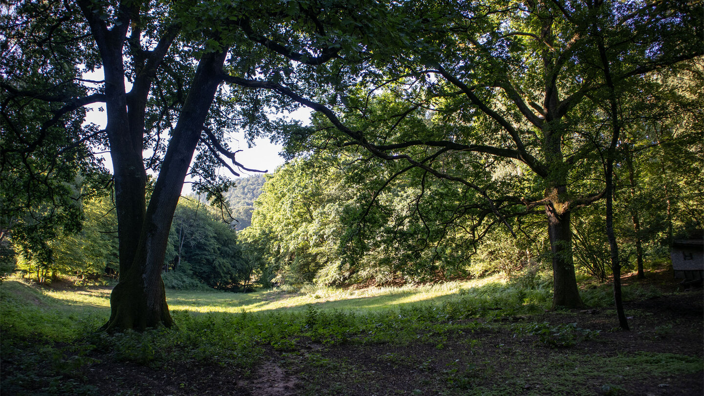 Wanderung im Bärenbrunnertal.