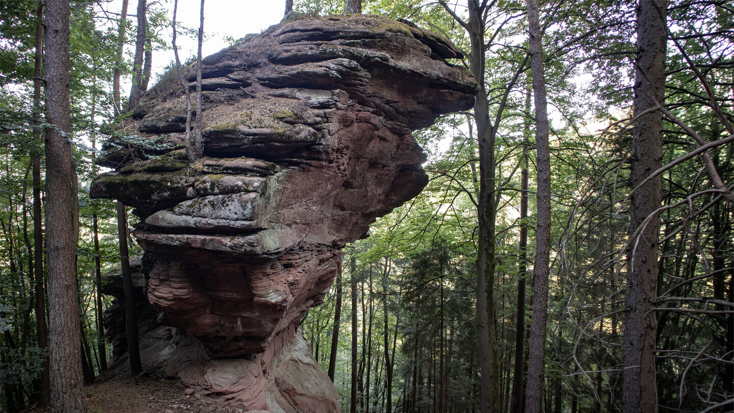 Das Sorgenbergmassiv – eingebettet in dichten Mischwald.