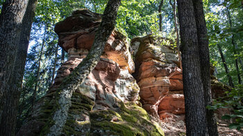 Waldfelsen entlang der Bärenbrunner Felsen-Tour.