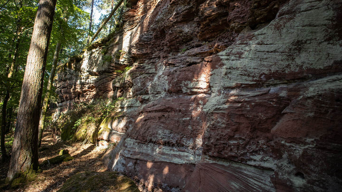 Buntsandsteinriff auf dem Eichelberg im Bärenbrunnertal.