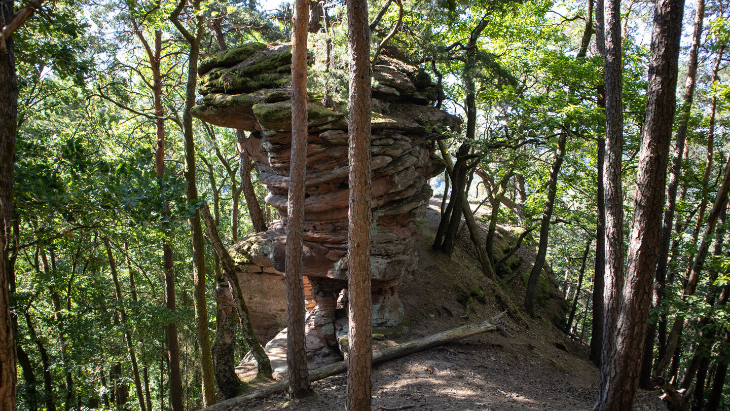 Buntsandsteinturm am Nonnenfels.