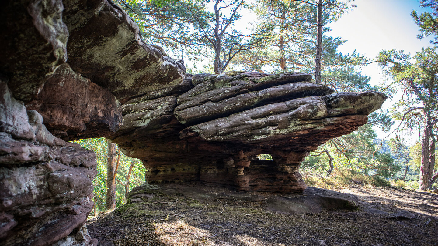 Felsformationen auf dem Gipfelplateau des Nonnenfels.