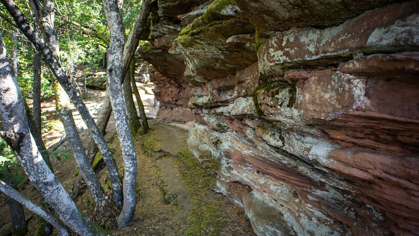 Wanderpfad am Buntsandsteinriff des Nonnenfels.