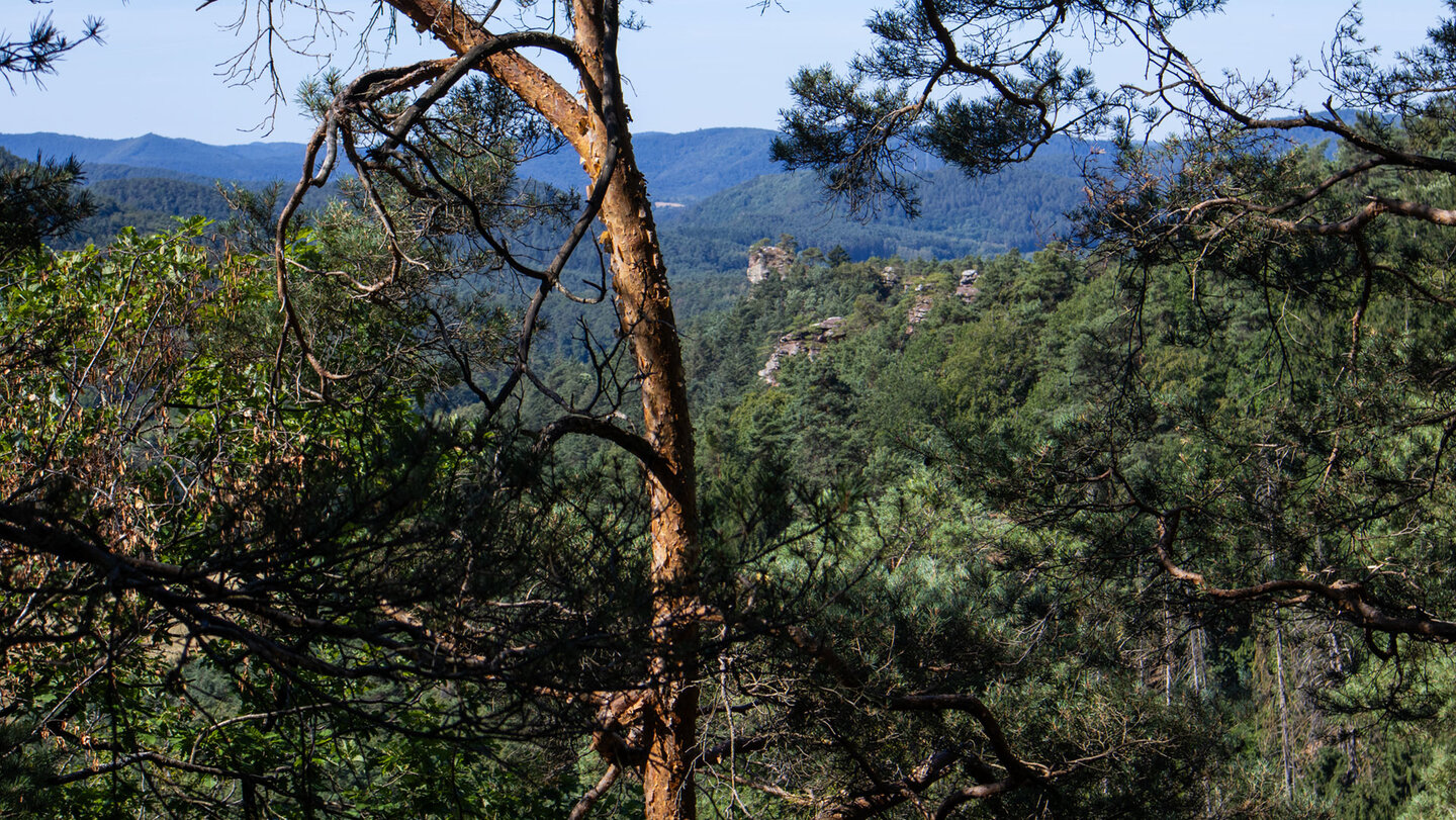 Ausblick auf Kloster-und Pfaffenfelsen.