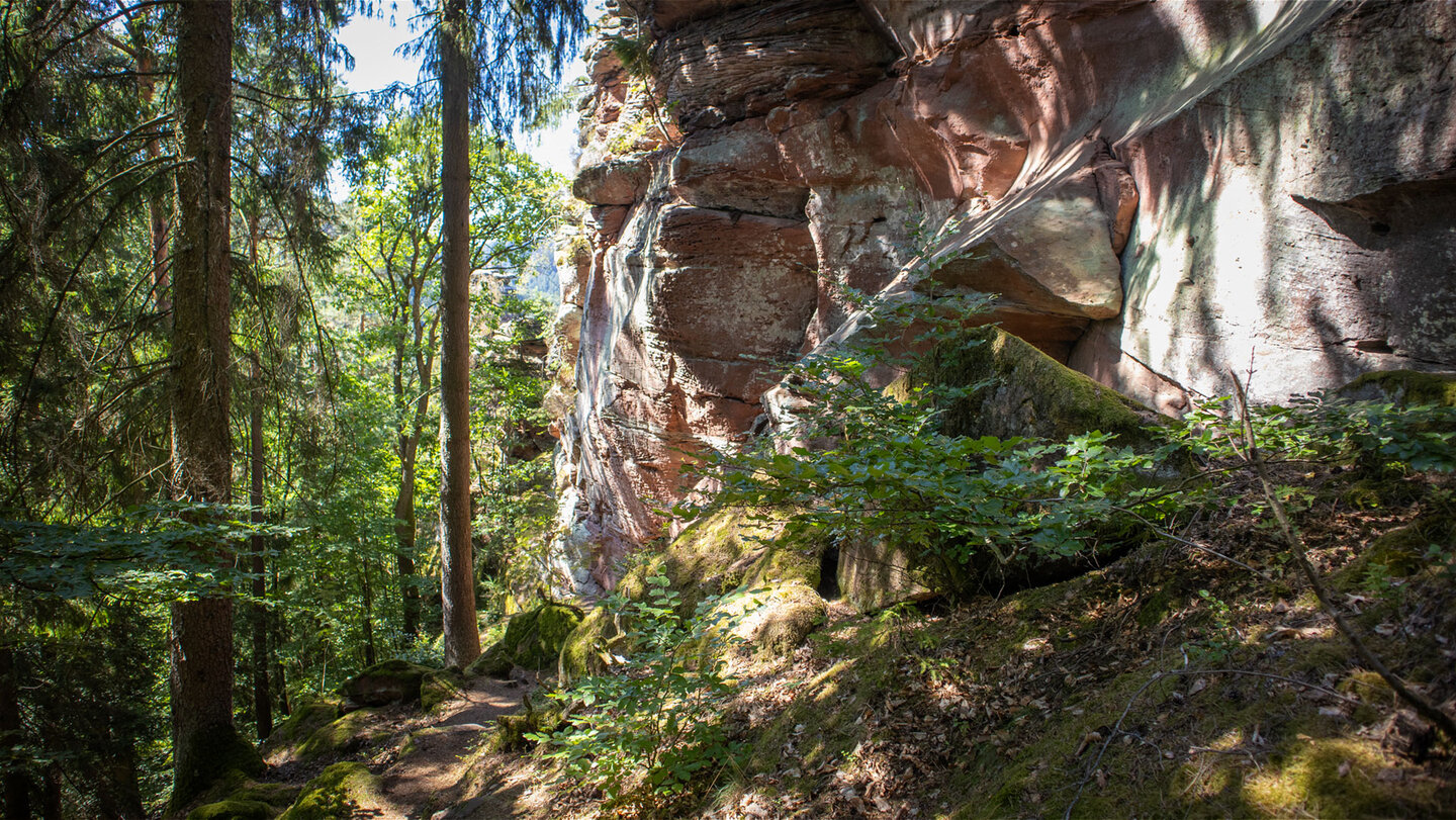 Wanderpfad entlang des Schandariefelsen.