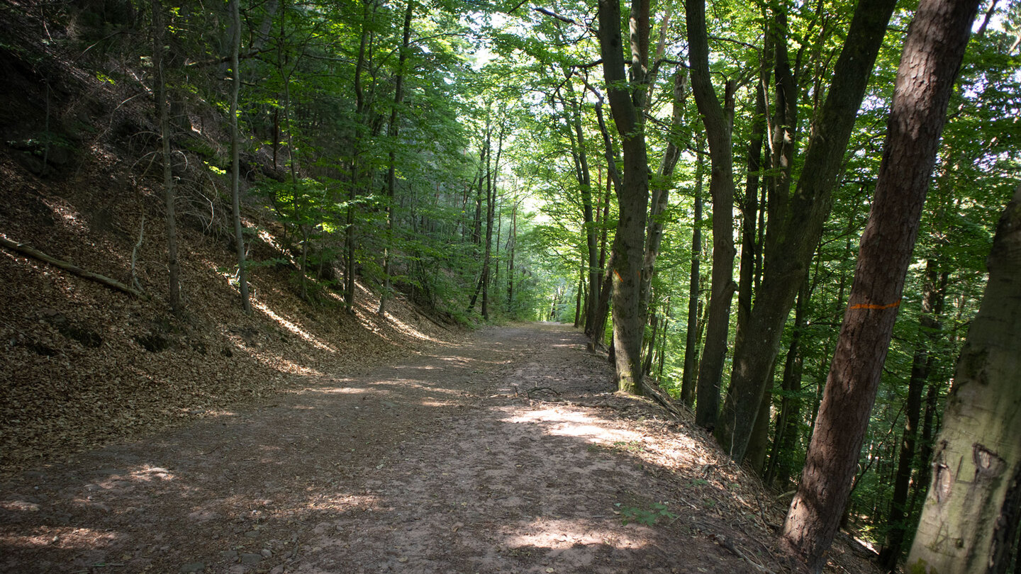 Wanderweg zum Honigfelsen.