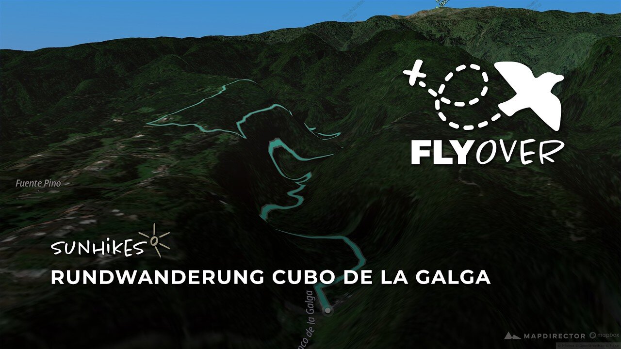 Im Herzen des grünen Urwalds von La Palma: Der magische Lorbeerwald Cubo de La Galga im 3D-Flyover