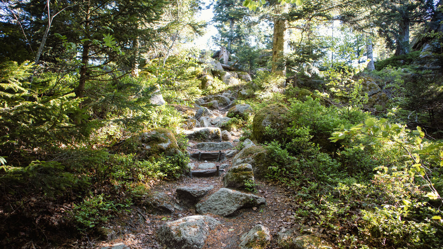 Westweg auf dem Hauenstein