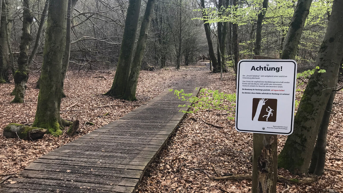 Holzbohlenweg im Urwald Sababurg