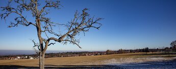 Panorama über Schwarzwaldlandschaft bei Dobel