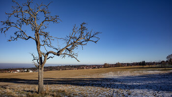 Panorama über Schwarzwaldlandschaft bei Dobel