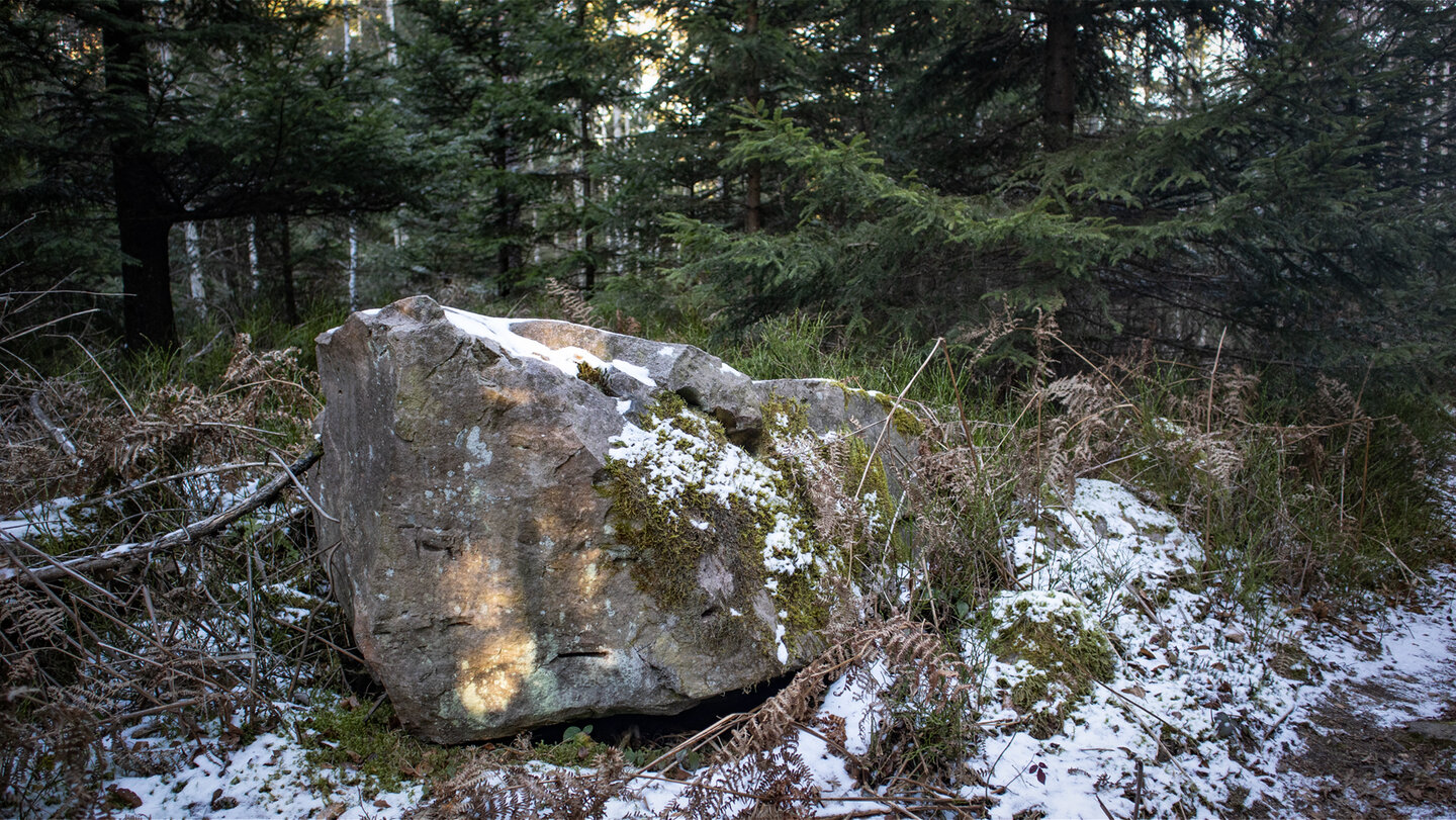 Buntsandsteinfelsen am Maienkopfberg