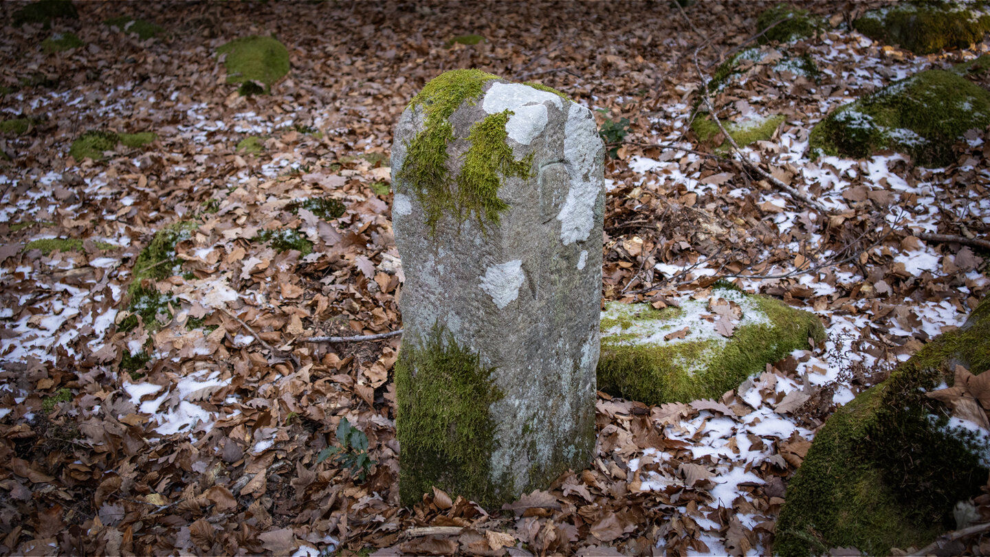 Grenzstein am Maienkopfberg
