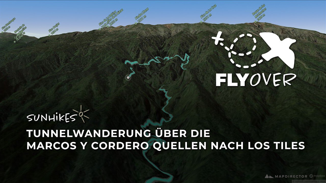 Abenteuer im Lorbeerwald: Die spektakuläre Tunnelwanderung von La Palma im Flyover Video