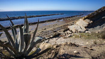 atemberaubender Ausblick auf die Brandungsplattformen nahe des Wanderwegs „Colada del Camino”.