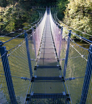 Hängebruecke über die Donau im Fürstlichen Park Inzigkofen