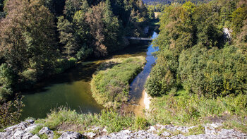 Blick vom Amalienfelsen über die Donauauen