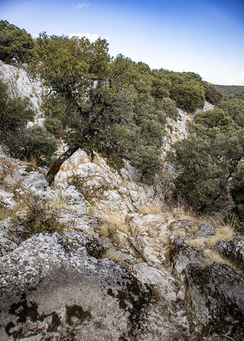 Abrisskante am Wasserfall des Río Fuenseca