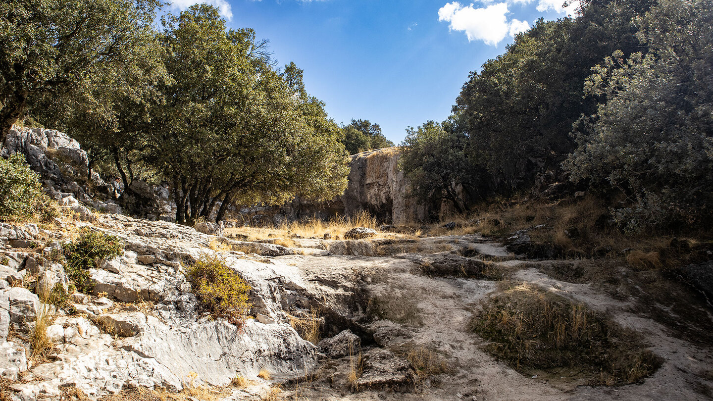 Wanderweg im Arroyo de Fuenseca