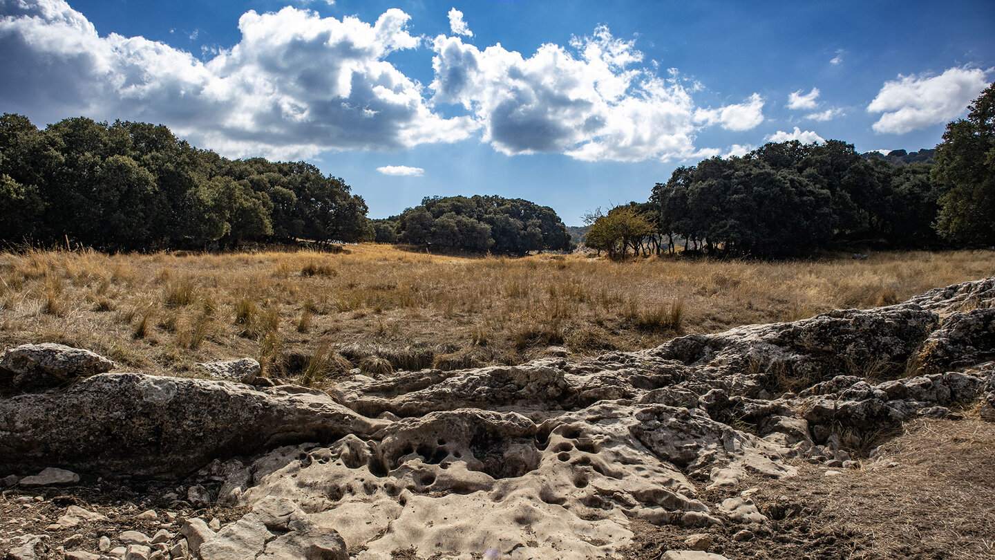 Felsen im Trockenbachlauf des Río Fuenseca
