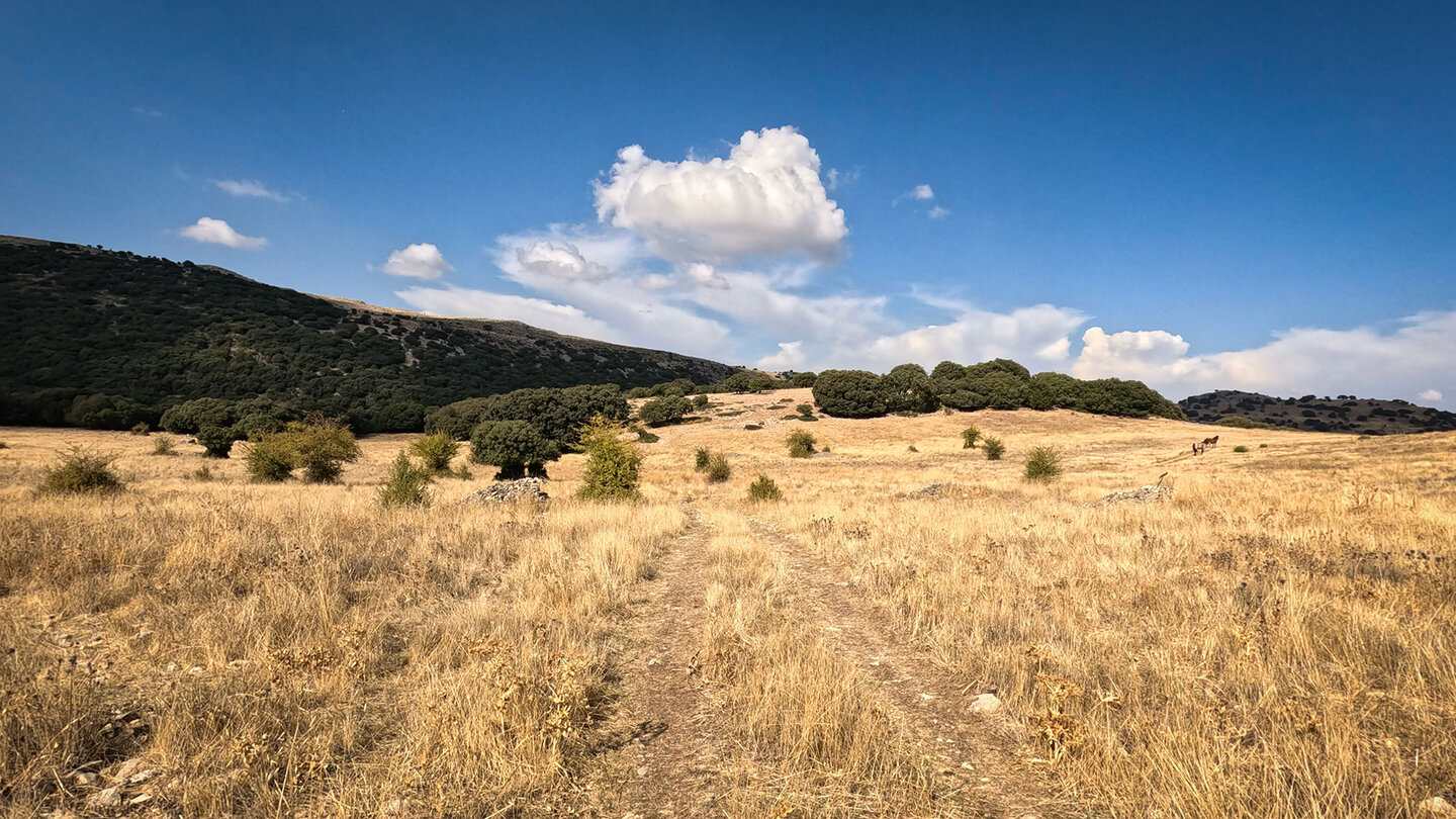 Weidelandschaft in den Hochebenen der Sierras Subbéticas