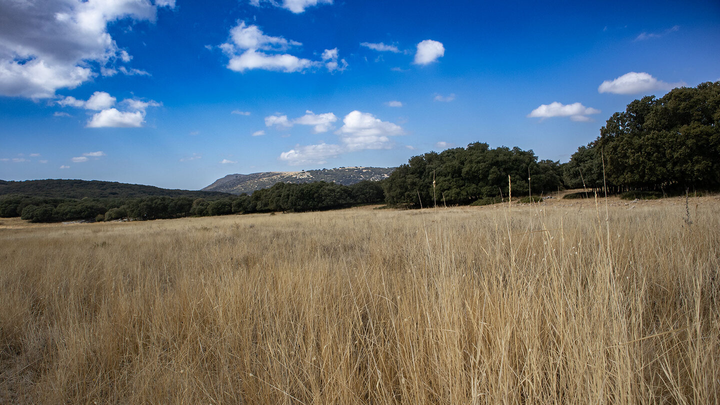 Wanderroute durch Wiesenlandschaft