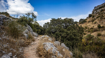 Wanderpfad in der Schlucht des Río Bailón