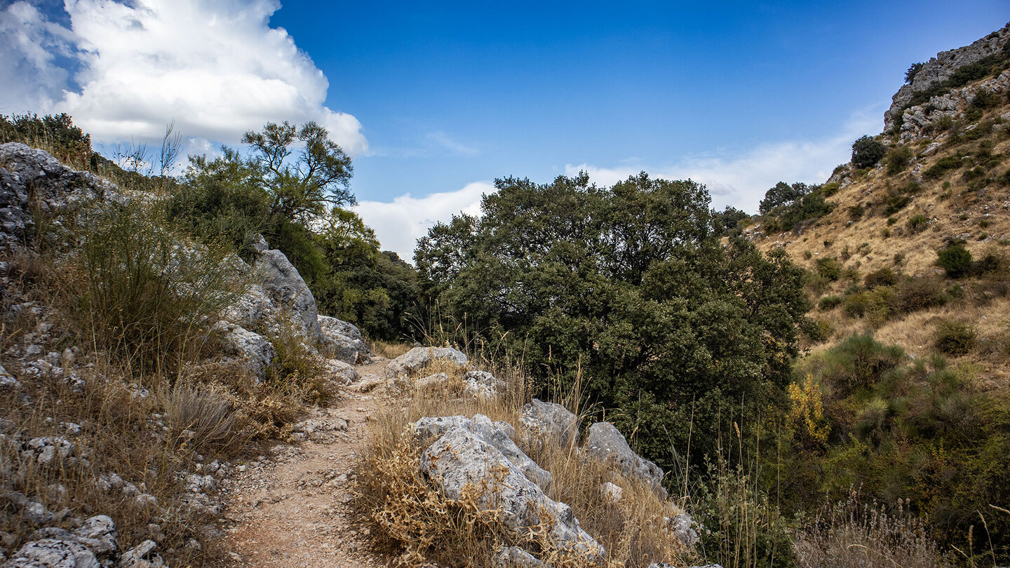 Wanderpfad in der Schlucht des Río Bailón