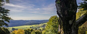 Ausblick auf Weideflächen und das Dorf Hofsgrund