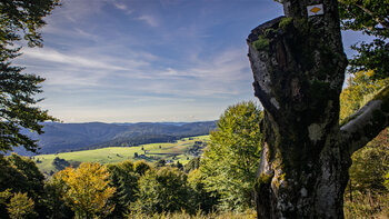 Ausblick auf Weideflächen und das Dorf Hofsgrund