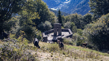 Engländerdenkmal am Schauinsland mit Talblick