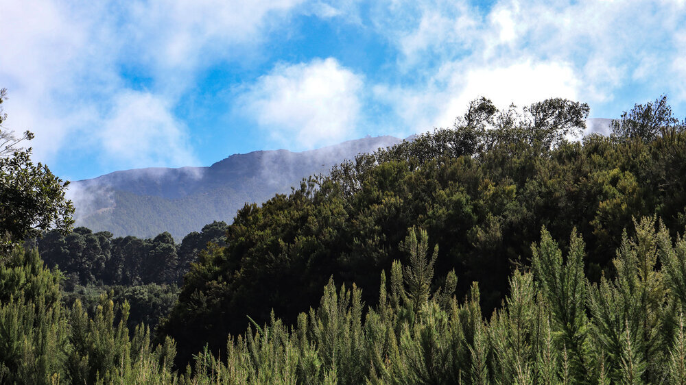 nahe La Zarza bis zum Observatorium vom Wanderweg PR LP 9