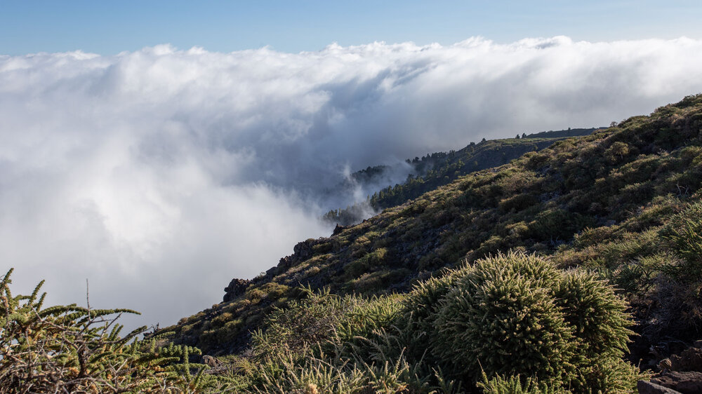 aufsteigende Wolken am Wanderweg PR LP 9 auf La Palma