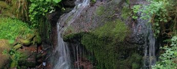 Sankenbach Wasserfall am Sankenbachsee