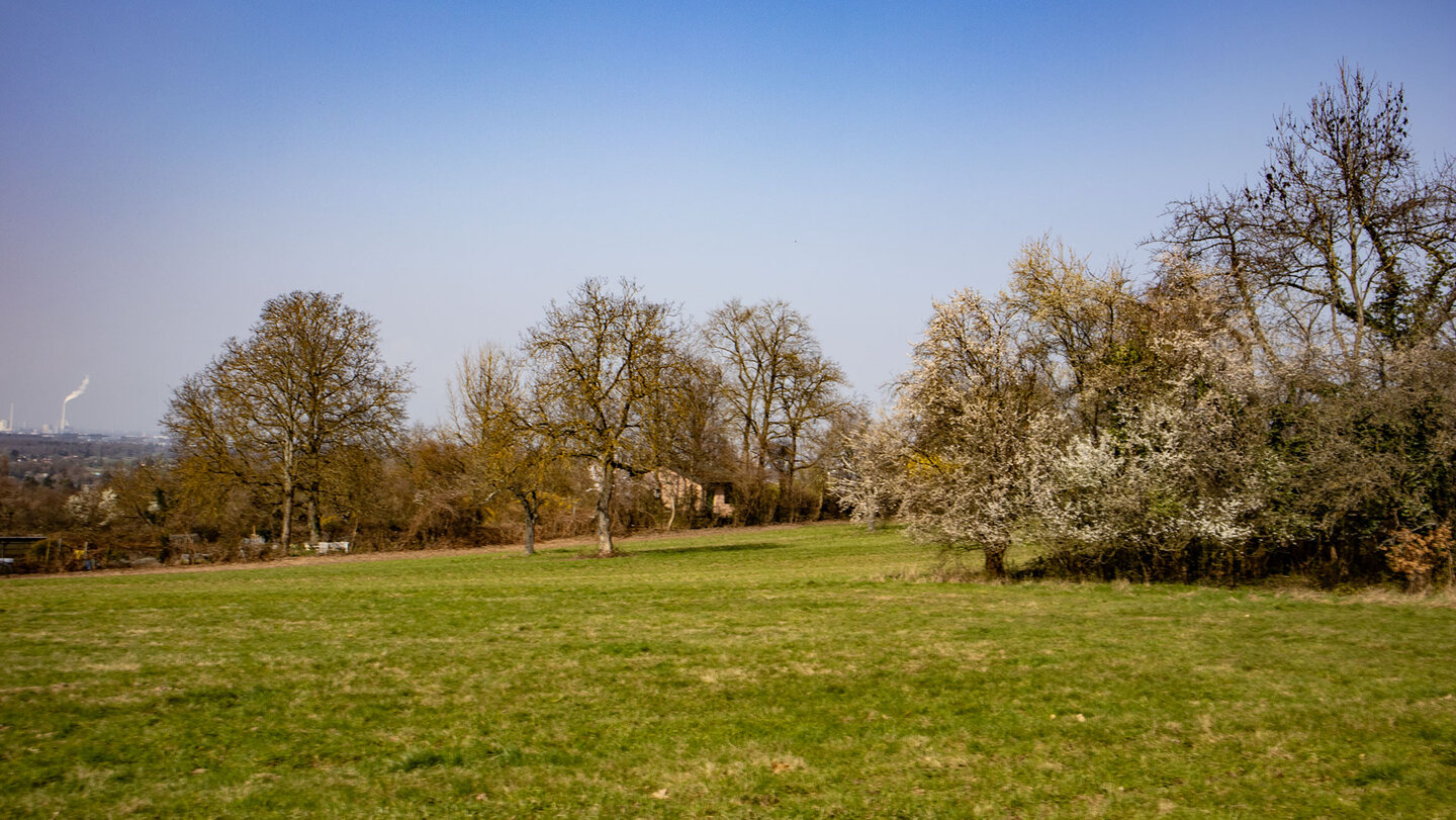 Wiesenlandschaft am Panoramaweg Wattkopf