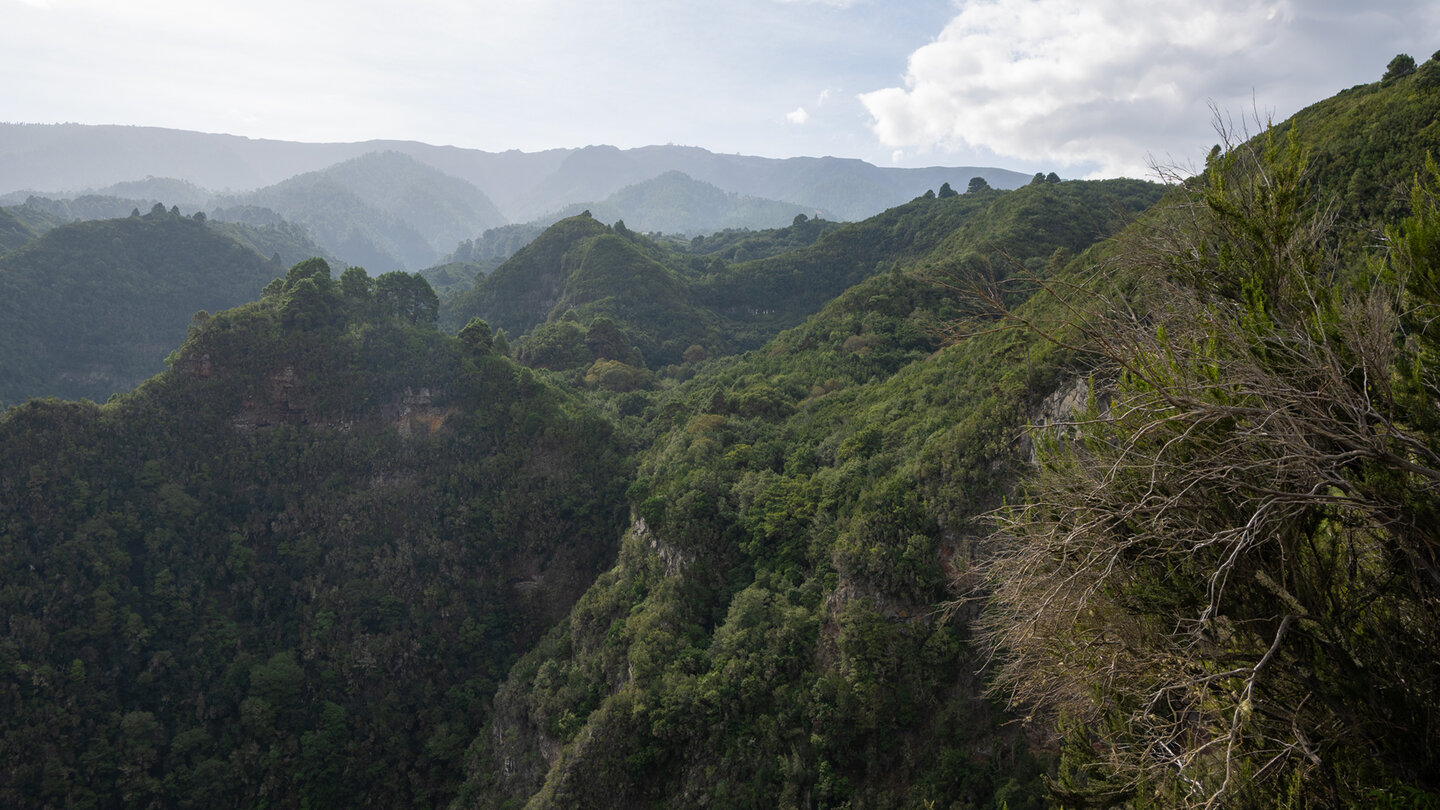 die Schlucht Barranco de los Hombres vor der Schluchtenlandschaft La Palmas