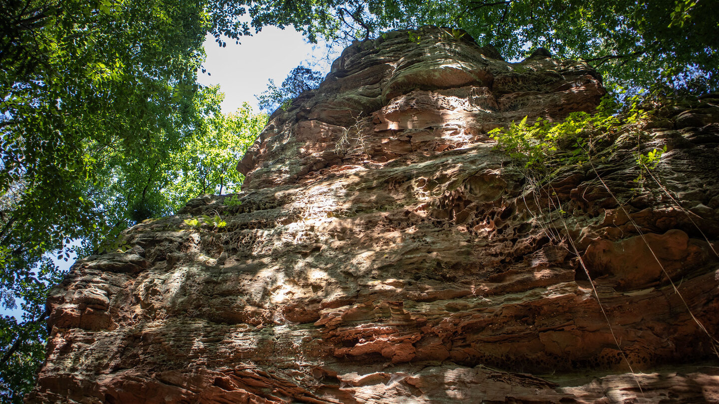 Aufragender Felsturm des Schafsfelsens bei Erfweiler aus rötlichem Buntsandstein, umrahmt von grünen Baumkronen vor hellem Himmel