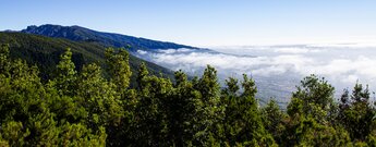 Blick über die grüne Landschaft vom Mirador Astronómico de Llano de la Venta auf La Palma