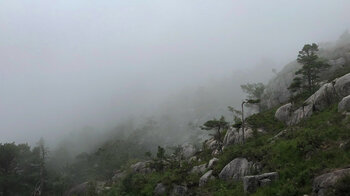 Felsen entlang des Wanderwegs im Nebel´