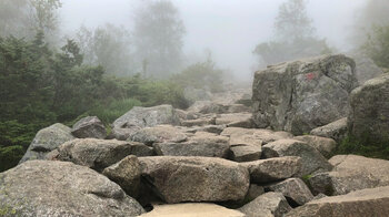 Steinstufen zum Preikestolen