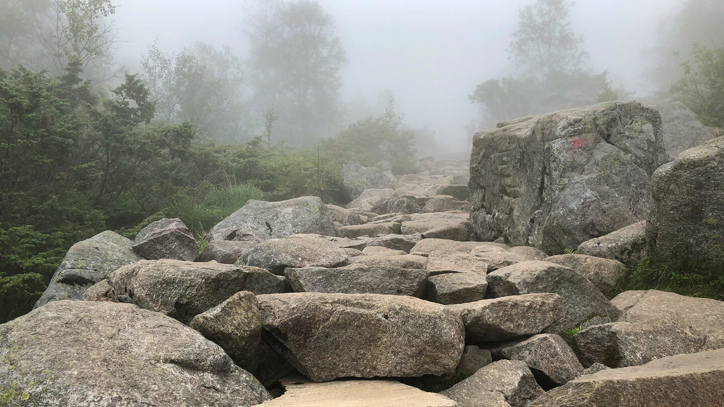 Wanderweg über Steinstufen zum Preikestolen Steinstufen zum Preikestolen