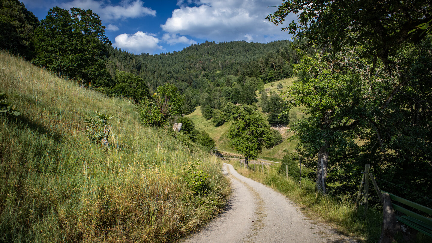 Panoramarunde Rund um Forbach