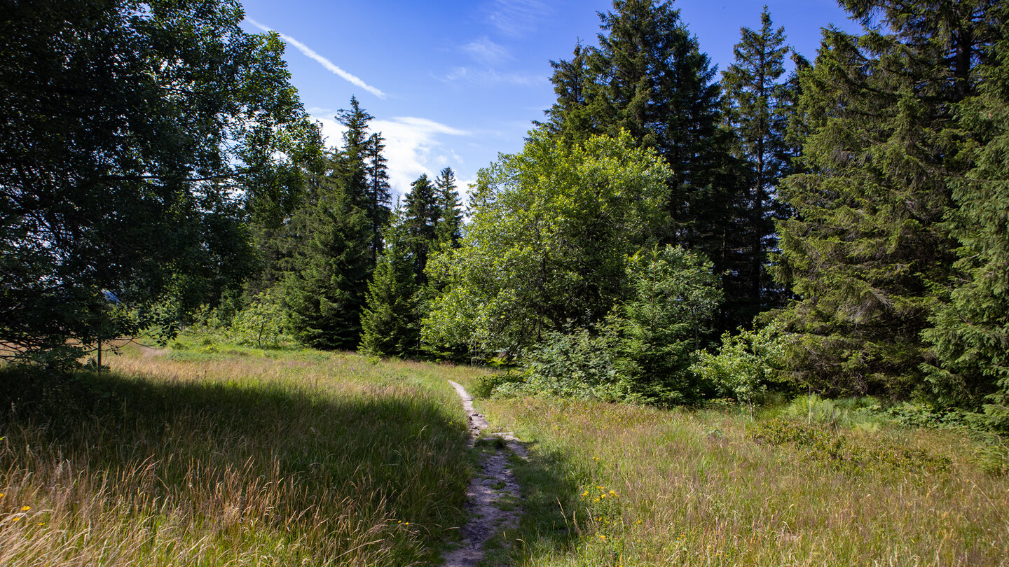 bei Zuflucht verläuft die Route auf malerischen Wiesenwegen
