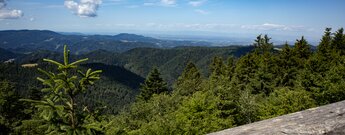 der Höhenweg bietet fantastische Ausblicke über das Lierbachtal, den Schwarzwald, die Rheinebene bis hin zu den Vogesen im Elsass