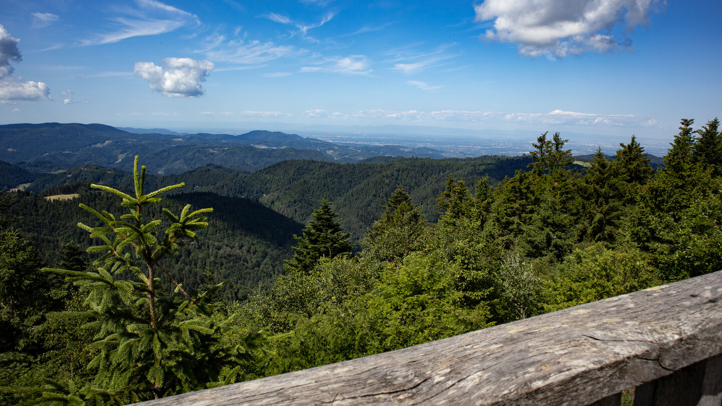 der Höhenweg bietet fantastische Ausblicke über das Lierbachtal, den Schwarzwald, die Rheinebene bis hin zu den Vogesen im Elsass