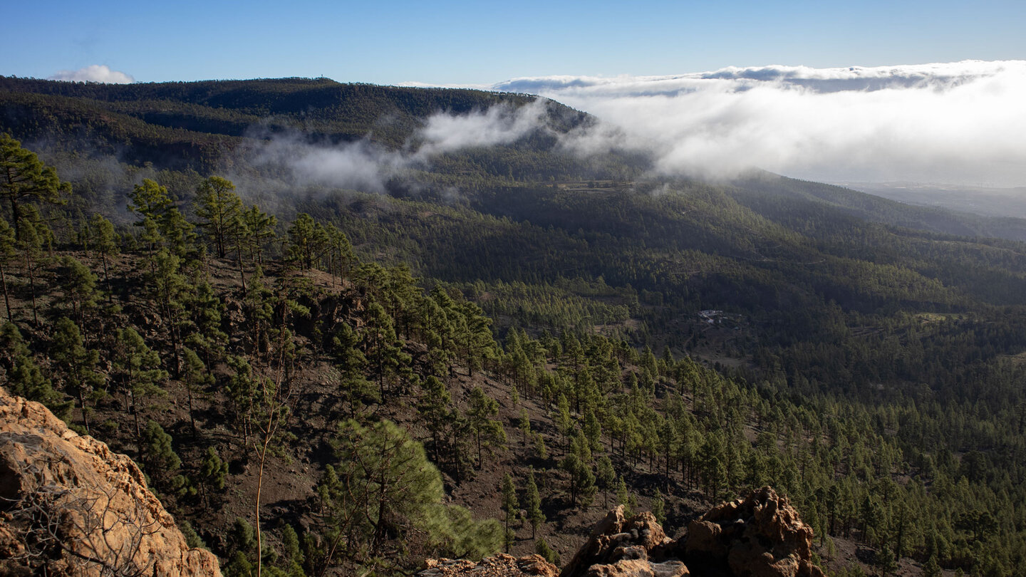 entlang der Wanderung ergeben sich Ausblicke über den Kiefernwald der Corona Forestal