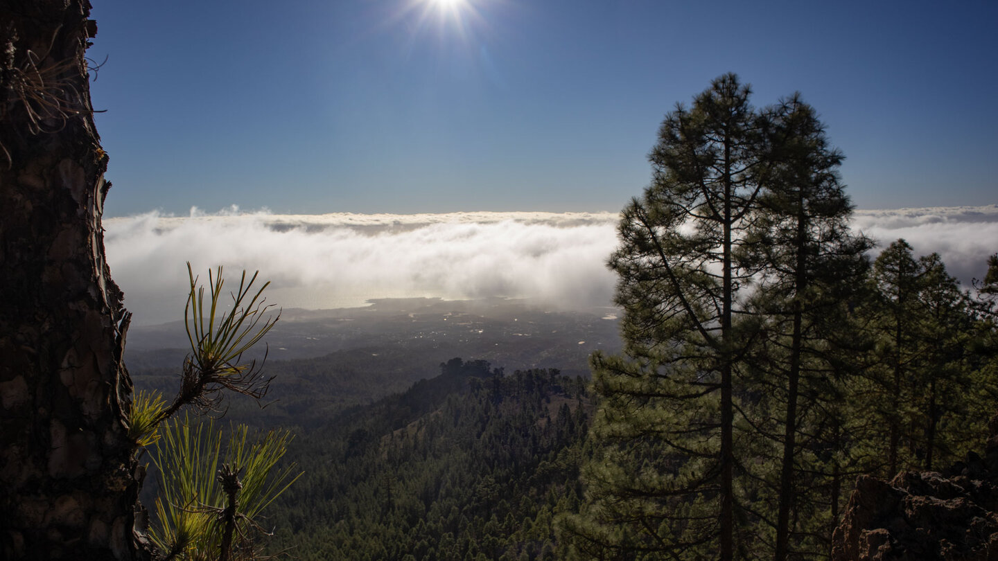 unter dem Wolkenmeer blickt man zur Küste Teneriffas