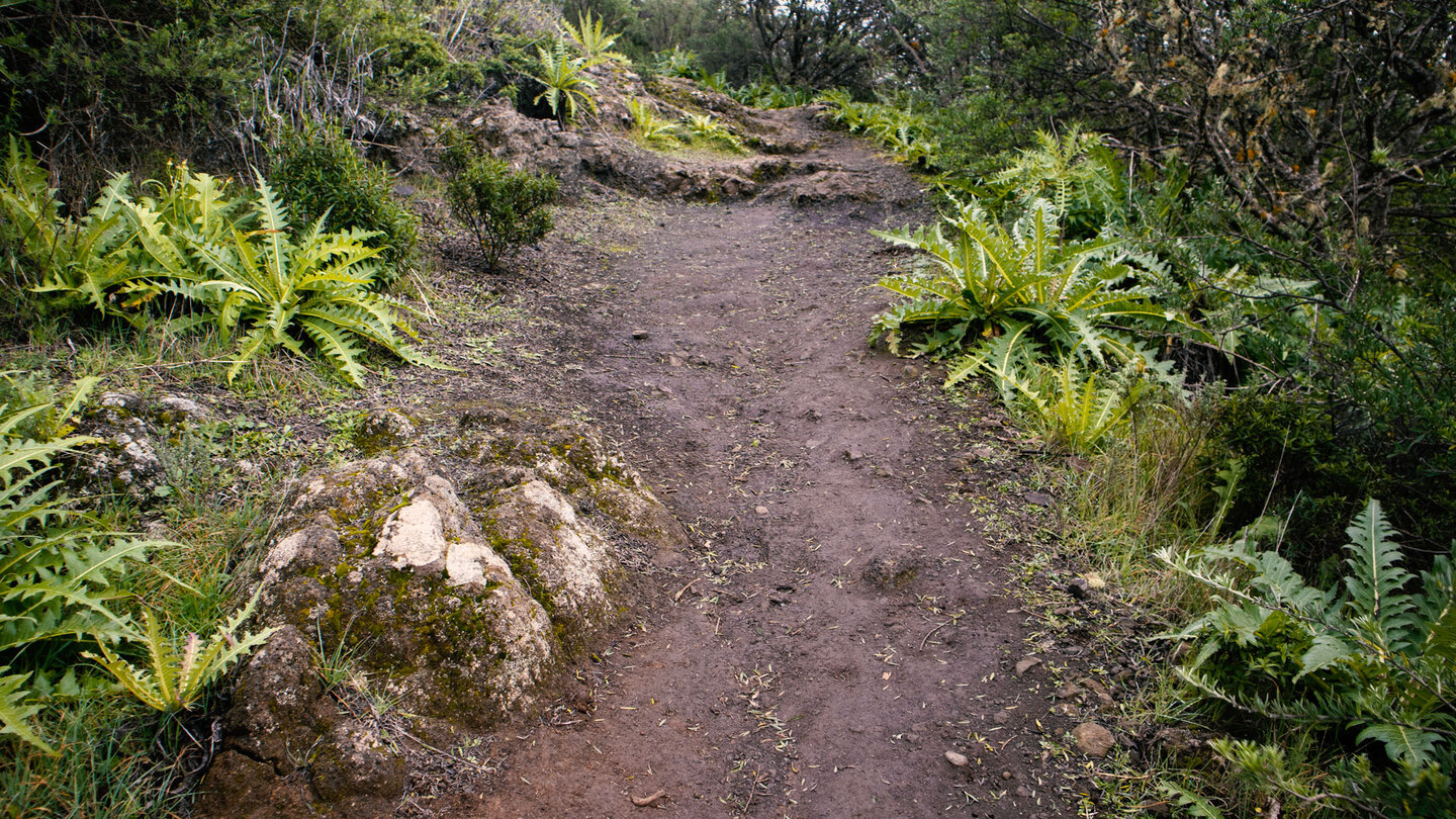 auf dem Wanderpfad PR-TF 51